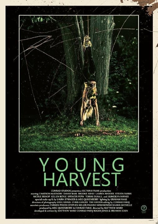 Young Harvest (2013)